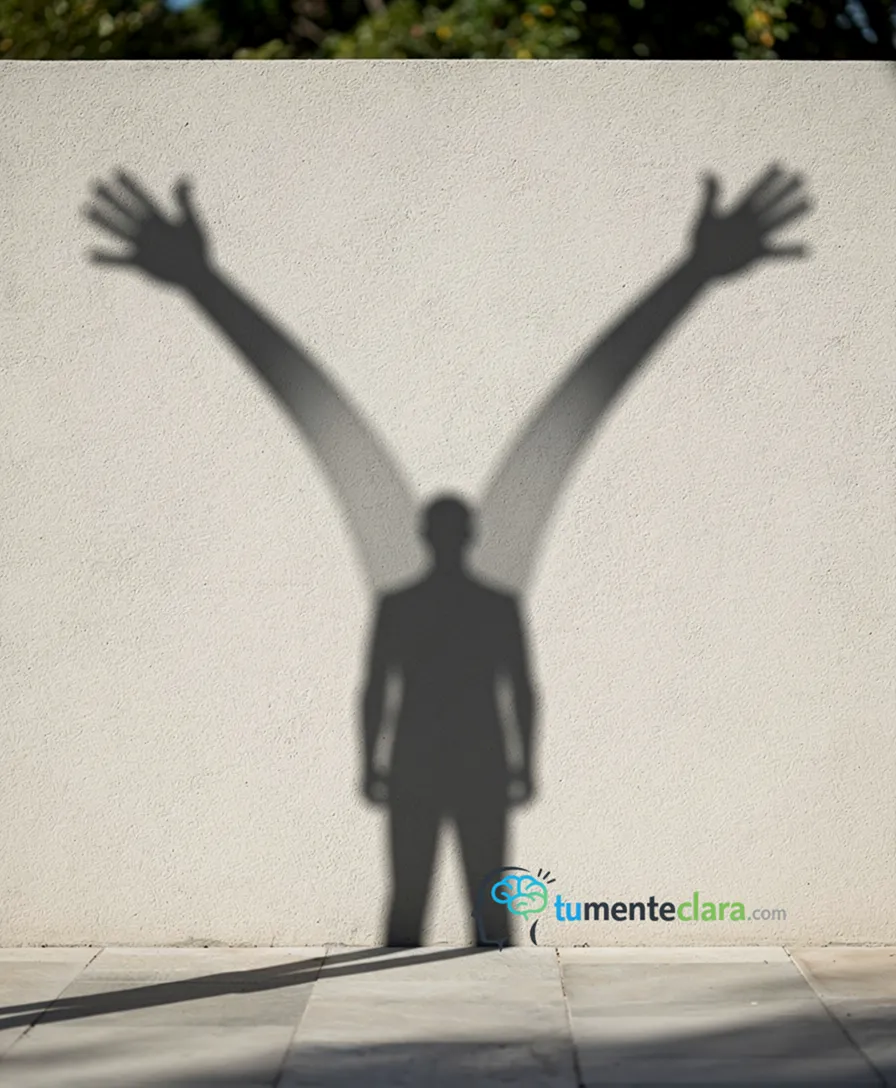 A person's shadow cast against a wall, splitting into two diverging paths.